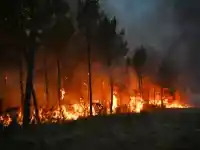 Шок! Огнена стихия заплашва Бордо, евакуирани 200 000 души!