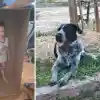 Тайна изчезнала четиригодишна звезда от София шокира всички!