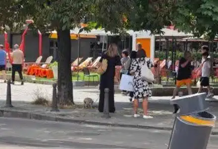 Деси Радева шокира с дизайнерско куче за 2000 евро в София!