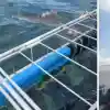 Шок! Евгения Джаферович се гмурка с акули в опасна мисия!