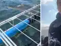 Шок! Евгения Джаферович се гмурка с акули в опасна мисия!