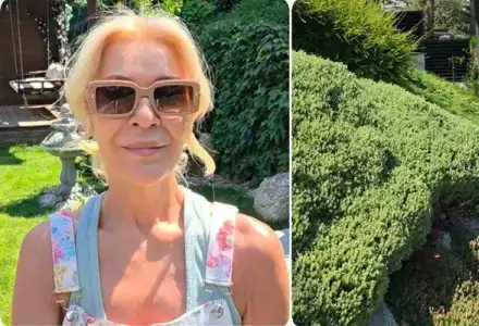Гала в шок! Цветето й изсъхна и остави дупка в сърцето й!