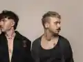 Скандал! Дует 'Молец' спасява кучета с нов хит!