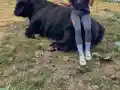 Ваня от 'Игри на волята' шокира с подвиг на Мальовица!