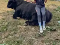 Ваня от 'Игри на волята' шокира с подвиг на Мальовица!
