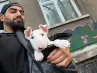 Азис разхожда хетеро куче