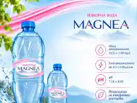 Шокираща истина за водата MAGNEA - какво не знаем?