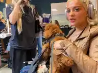 Мария Бакалова на фризьор с жената на Том Ханкс (ВИДЕО)