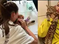 Шок! Моника Валериева на ръба след трагедията с котката си!